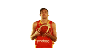 World Cup Game Sticker by FIBA