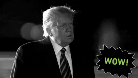 jsherpin giphyattribution wow trump trump wow GIF