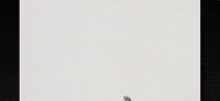 Kickflip Donghwa GIF