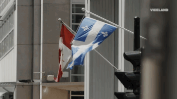 viceland GIF by Dead Set on Life