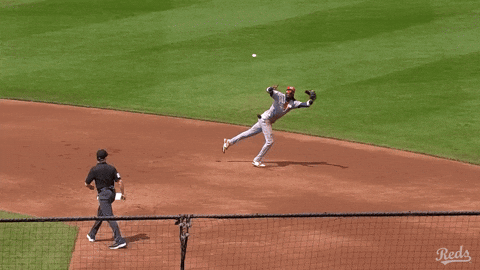 Baseball Mlb GIF by Cincinnati Reds