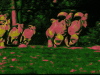 MFDtheArtist trippy weird animal colorful GIF