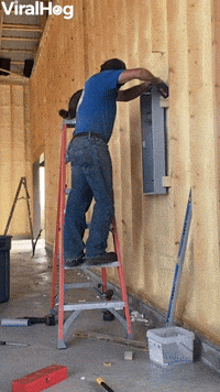 Helpful Raccoon Inspects Electrical Work