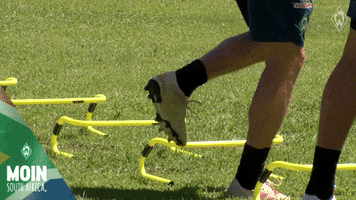 GIF by SV Werder Bremen
