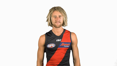 essendonfc giphyupload dons bombers essendon GIF