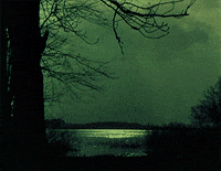 f. w. murnau schloÃ vogeloed GIF by Maudit