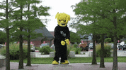 Wu_Shock basketball ballin wu wsu GIF