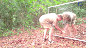 wild animals GIF