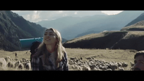 GIF by Almabrands