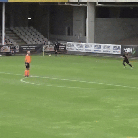 GIF by Football Australia