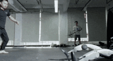 jacksonhwang giphyupload GIF
