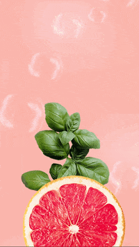 GIF by Cleancult
