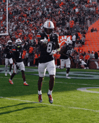 Spider-Man Celebration GIF by Auburn Tigers