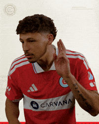Chicago Fire What GIF by Chicago Fire Football Club