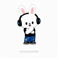 Rock In Rio Stray Kids GIF