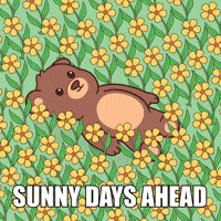 Happy Teddy Bear GIF by BEARISH