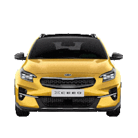 kiaturkiye kia kia türkiye çelik motor celikmotor Sticker