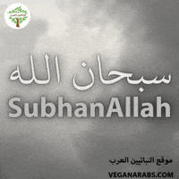 Islam Arabic Language GIF by VeganArabs