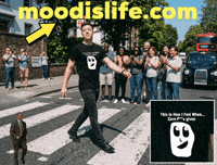 Happy Small Business GIF by Mood is Life!