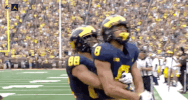 Go Blue Michigan Football GIF by Michigan Athletics