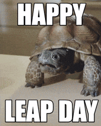 Frog Turtle GIF by Wonderful Pistachios