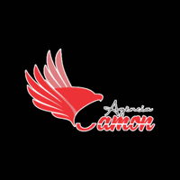 Logo Identidade Visual GIF by Agência Camon