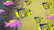 lil yachty kyle GIF by stalebagel