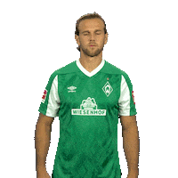 Werder Bremen Love Sticker by Bundesliga