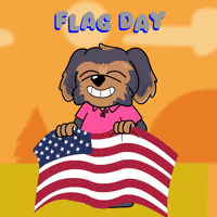 American Flag America GIF by BoDoggos