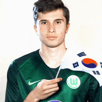 football soccer GIF by VfL Wolfsburg