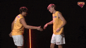 Cuc GIF by CUCougars