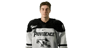 Go Friars Sticker by Providence Friars