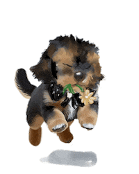 Dog Puppy Sticker by sophiaqin