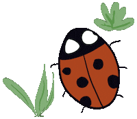 Coccinelle Sticker