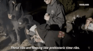 viceland GIF by KING OF THE ROAD