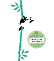 Panda Dancing Sticker by imperialleather