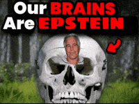 Epstein GIF