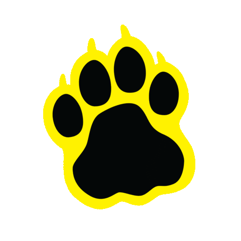 College Graduation Sticker by @CCPedu