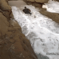 gifys GIF by The .GIFYS