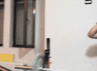 Powerlifting Tuna GIF