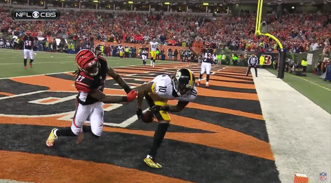 Pittsburgh Steelers GIF by NFL