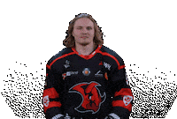 Fight Win Sticker by Saale Bulls