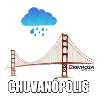 Santa Catarina Rain Sticker by Autoescola Brinhosa