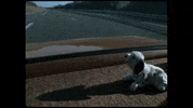 Driving Slow Road Trip GIF by Epitaph Records