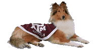 Dog Sticker by Texas A&M University