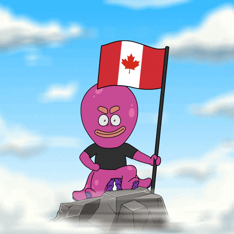 Canadian Wave GIF by Octo Gaming
