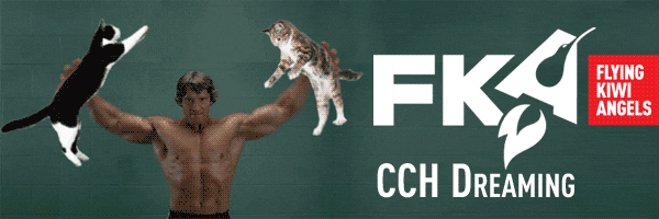 FlyingKiwiAngels giphyupload another fka friday fka news GIF