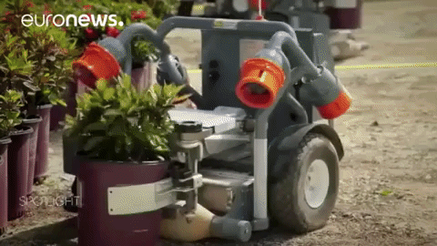 Robot Working GIF by euronews