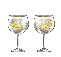 Drink Gin Sticker by fullcircledistillers