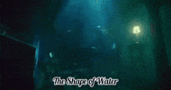 The Shape Of Water Merman GIF